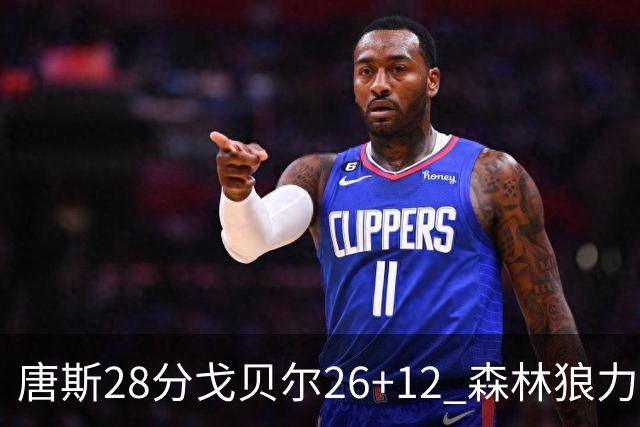 唐斯28分戈贝尔26+12 森林狼力克黄蜂4连胜
